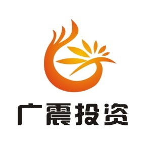 上海廣震投資管理 專(zhuān)業(yè)投資咨詢(xún)的明智選擇